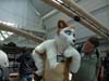 DSCF0128