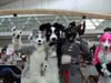 DSCF0149