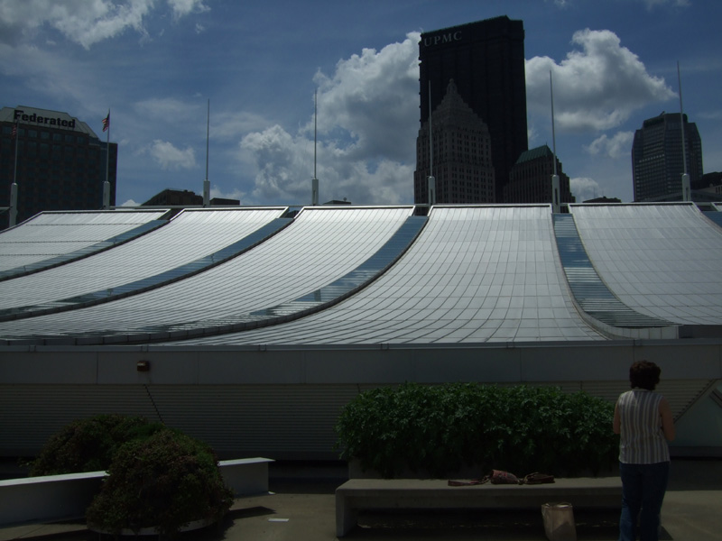 DSCF0379