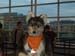 DSCF0346