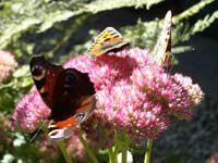 DSCN0318