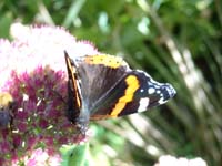 DSCN0325