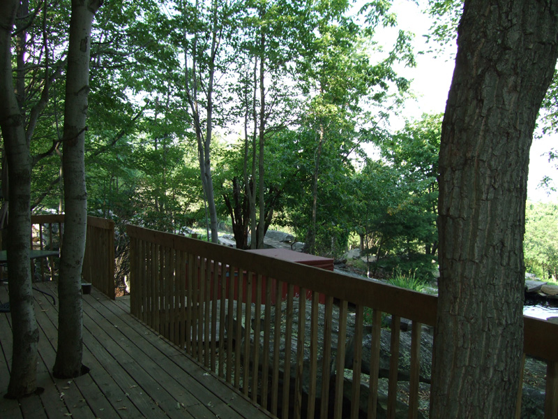 DSCF0066