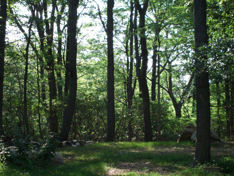 DSCF0072