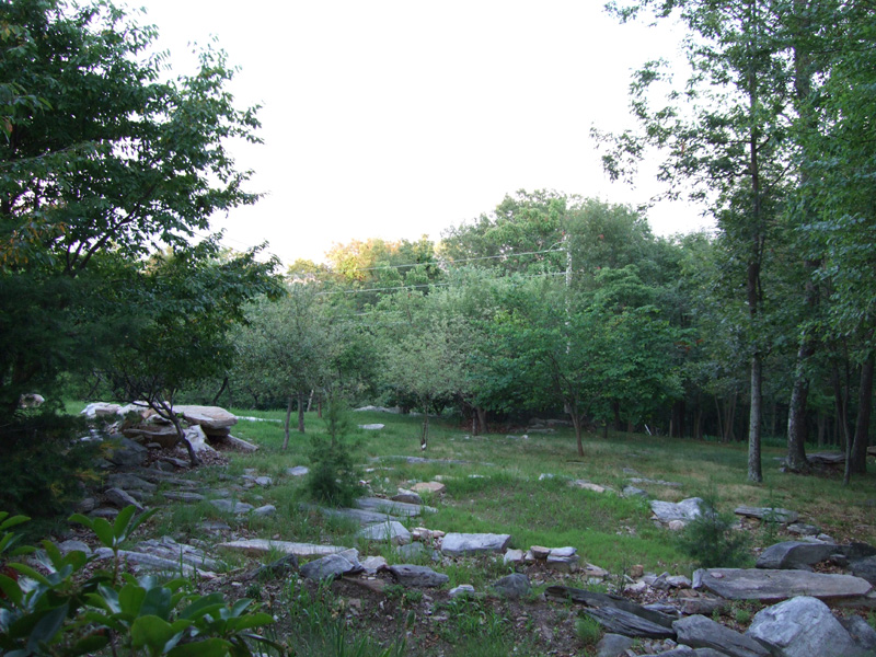 DSCF0083