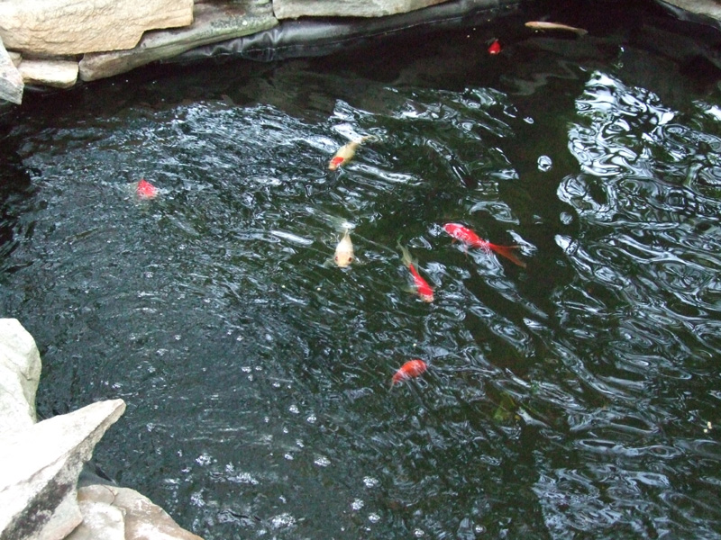 DSCF0085