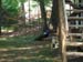 DSCF0071