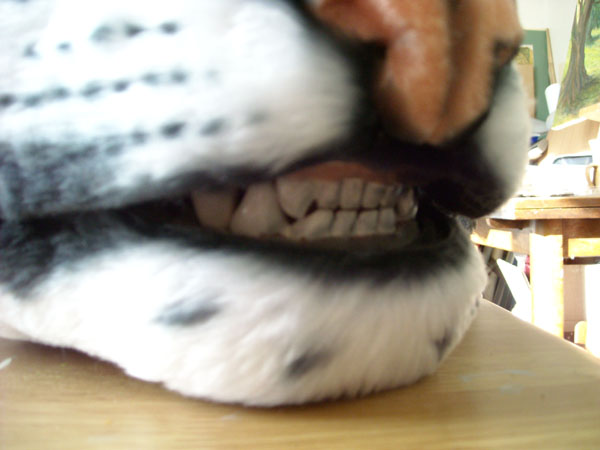 DSCN0103