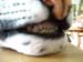 DSCN0103